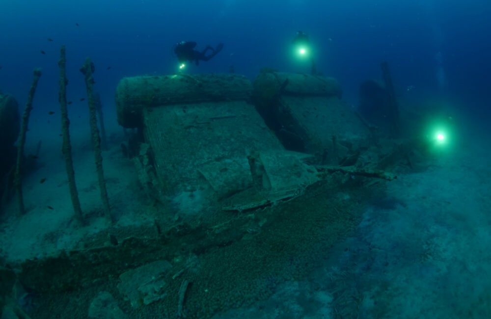 The British Seabed @scubadesign / Shutterstock.com